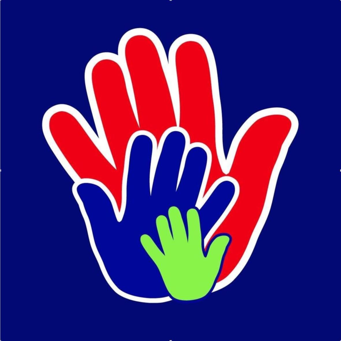 PARTIDO POLITICO PERU ACCION